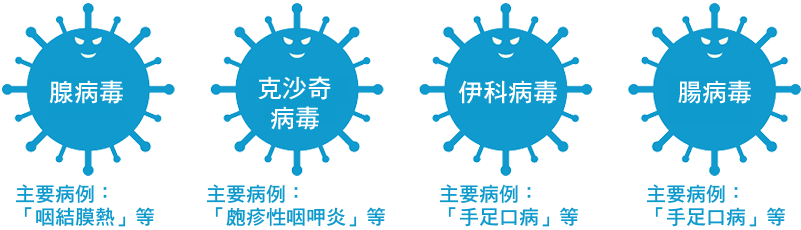 腺病毒 | 主要病例：「咽結膜熱」等／克沙奇病毒 | 主要病例：「疱疹性咽峽炎」等／伊科病毒 | 主要病例：「手足口病」等／腸病毒 | 主要病例：「手足口病」等